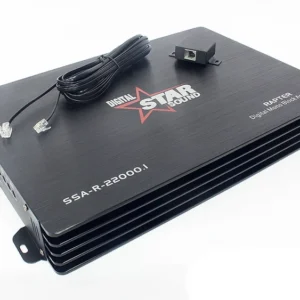 ssa r 222000.1